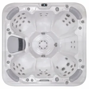 Libra Hot Tub for Sale in Raleigh
